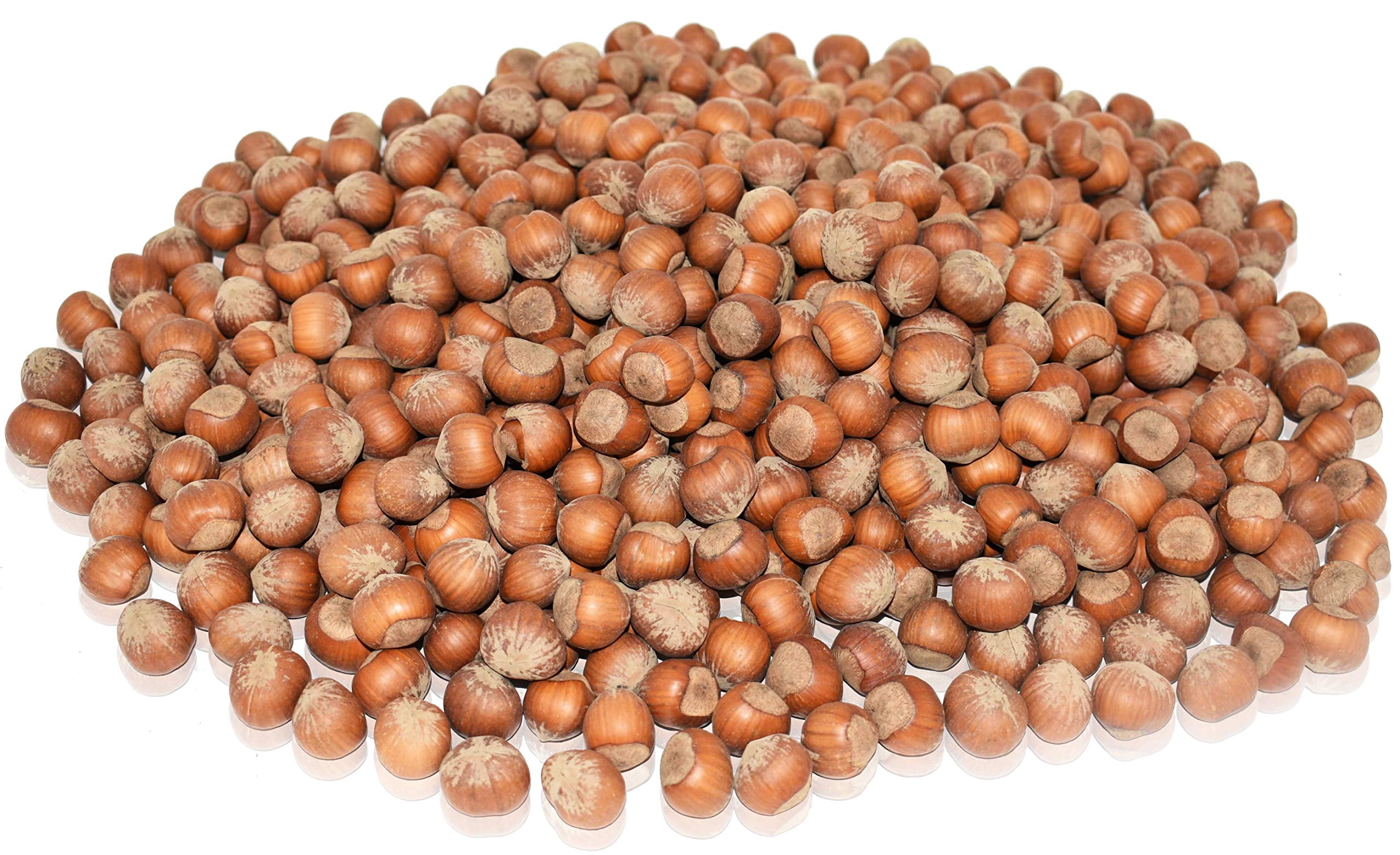 Anna and Sarah Large RE32Oregon Hazelnuts in Shell 5 Lbs - Walmart.com