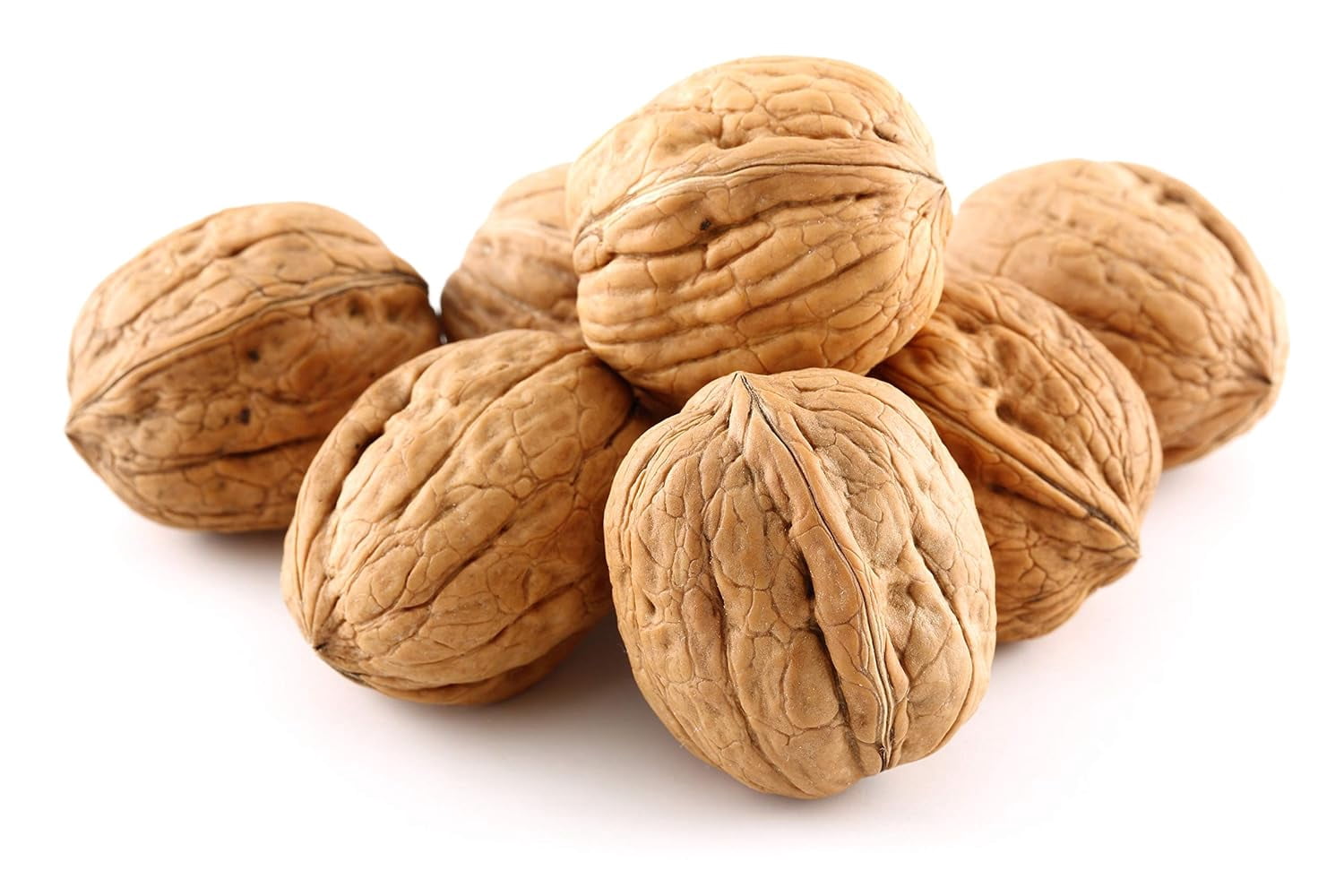 Anna and Sarah Walnuts in Shell, Jumbo, Fresh, Buttery Taste, Easy to Crack, California Chandler, Natural Shells, Not Bleached (5.5 Lbs)