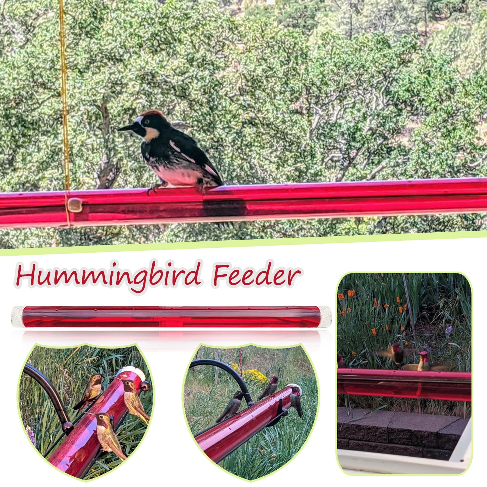 Anna's Best Hummingbird Feeder with Hole Birds Feeding Transparent Pipe