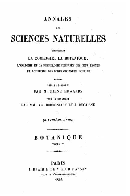 Annales Des Sciences Naturelles - Tome V