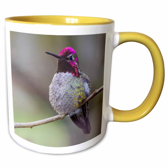 3drose, Annas Hummingbird, 11oz Two-tone Yellow Mug
