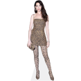 thumbnail image 1 of Anne Hathaway (Sparkly) Lifesize Cardboard Cutout Standee, 1 of 7