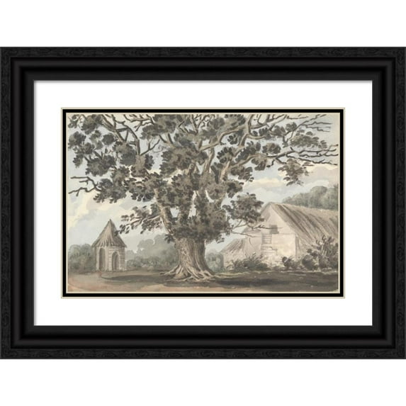 Anne Rushout 18x13 Black Ornate Wood Framed Double Matted Museum Art Print Titled - Queen Elizabeth's Oak Near Finborough Hall (1824 to 1832)