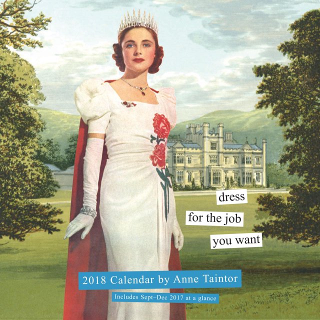 Anne Taintor 2018 Wall Calendar (Other)