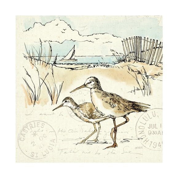 Anne Tavoletti 'Coastal Breeze IX' Canvas Art