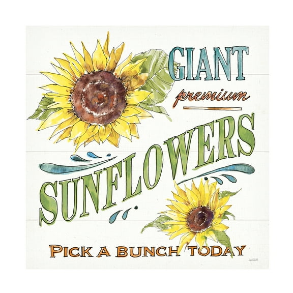 Anne Tavoletti 'Sunflower Fields IV' Canvas Art