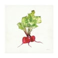 thumbnail image 1 of Anne Tavoletti 'Veggie Market II Radish' Canvas Art, 1 of 3