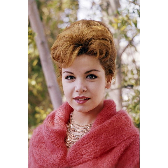 Annette Funicello With Red Hair Cute Pose 24x36 Poster