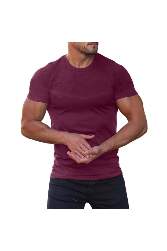 Quick Dry Shirts for Men Crewneck Solid Color Breathable Wicking Short Sleeve Sport Tops Activewear Clothes