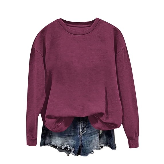 Annhoo Shirts for Women Long Sleeve Solid Color Crew Neck Casual Outdoor Comfy Sweatshirts Work Trendy Basic T-Shirts