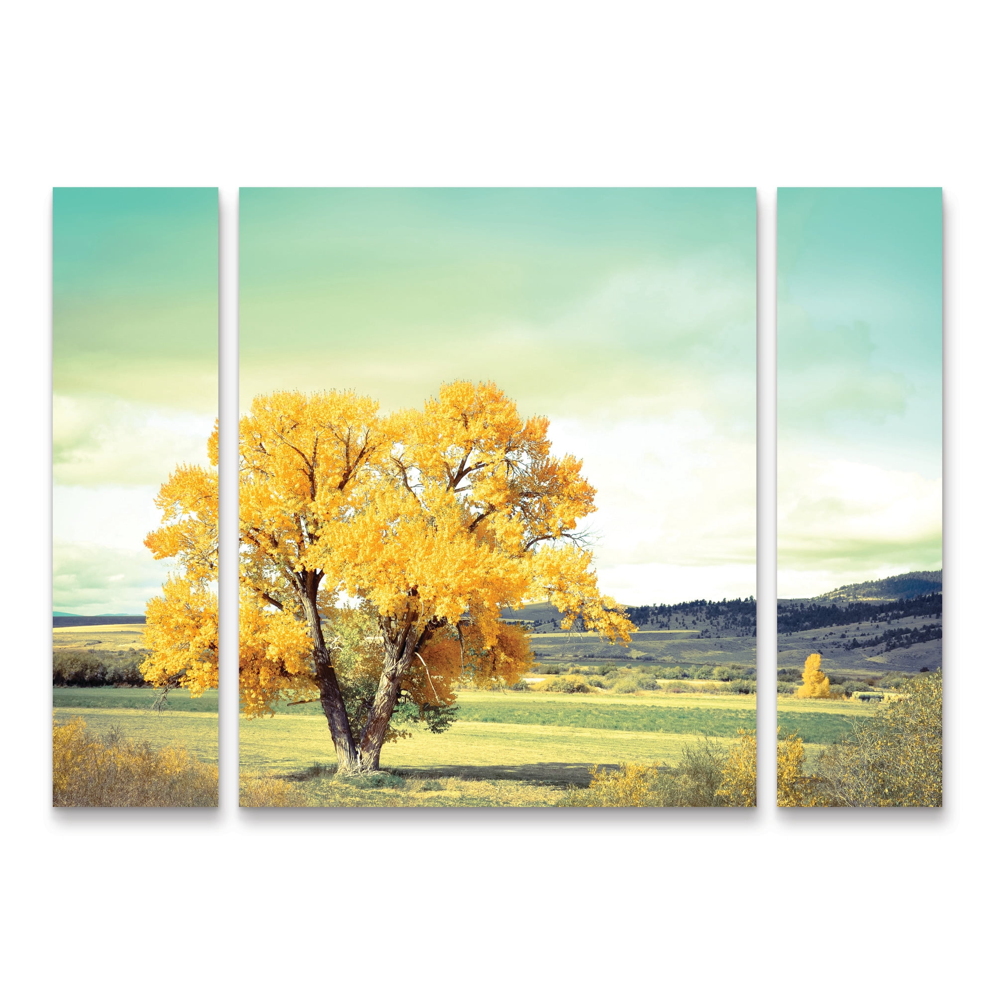 Annie Bailey Art ‘First To Turn’ 3 Panel Wall Art Set