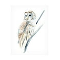 thumbnail image 1 of Annie Warren 'Arctic Owl I' Canvas Art, 1 of 3