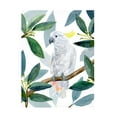thumbnail image 1 of Annie Warren 'Cockatoo Perch II' Canvas Art, 1 of 3