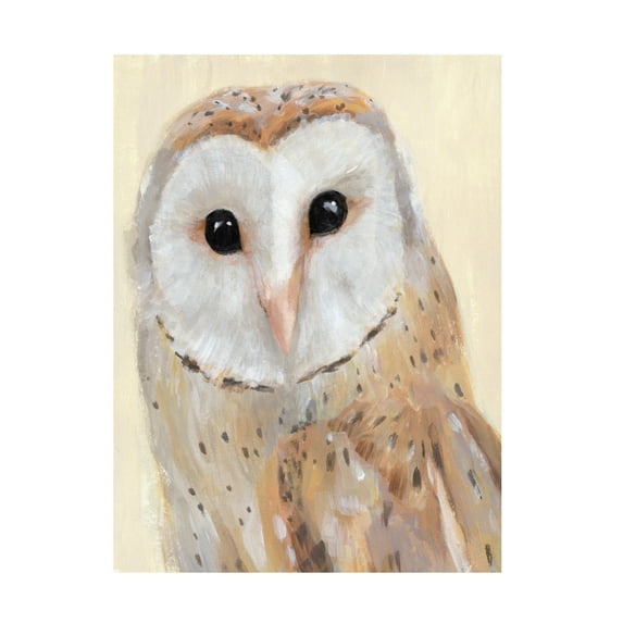 Annie Warren 'Common Barn Owl I' Canvas Art