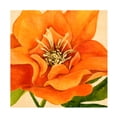 thumbnail image 1 of Annie Warren 'Copper Petals II' Canvas Art, 1 of 3