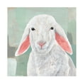 thumbnail image 1 of Annie Warren 'Cotton Ball I' Canvas Art, 1 of 4