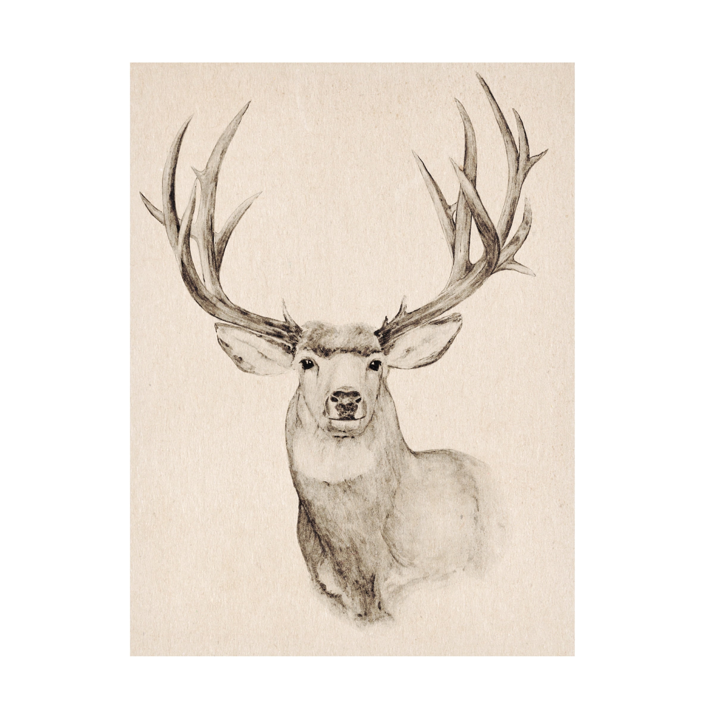 Annie Warren 'Natural Buck II' Canvas Art