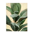 thumbnail image 1 of Annie Warren 'Plant Study II' Canvas Art, 1 of 3