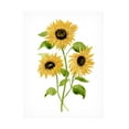 thumbnail image 1 of Annie Warren 'Sunflower Trio I' Canvas Art, 1 of 1