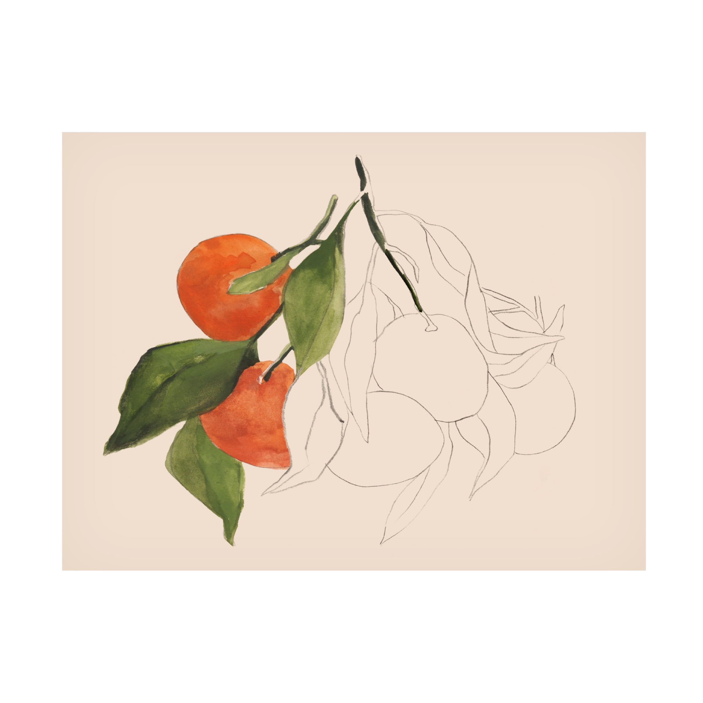 Annie Warren Tangerine Branch Sketch Canvas Art in Tan and Orange