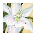 thumbnail image 1 of Annie Warren 'White Lily I' Canvas Art, 1 of 3