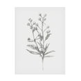 thumbnail image 1 of Annie Warren 'Wild Stem I' Canvas Art, 1 of 3