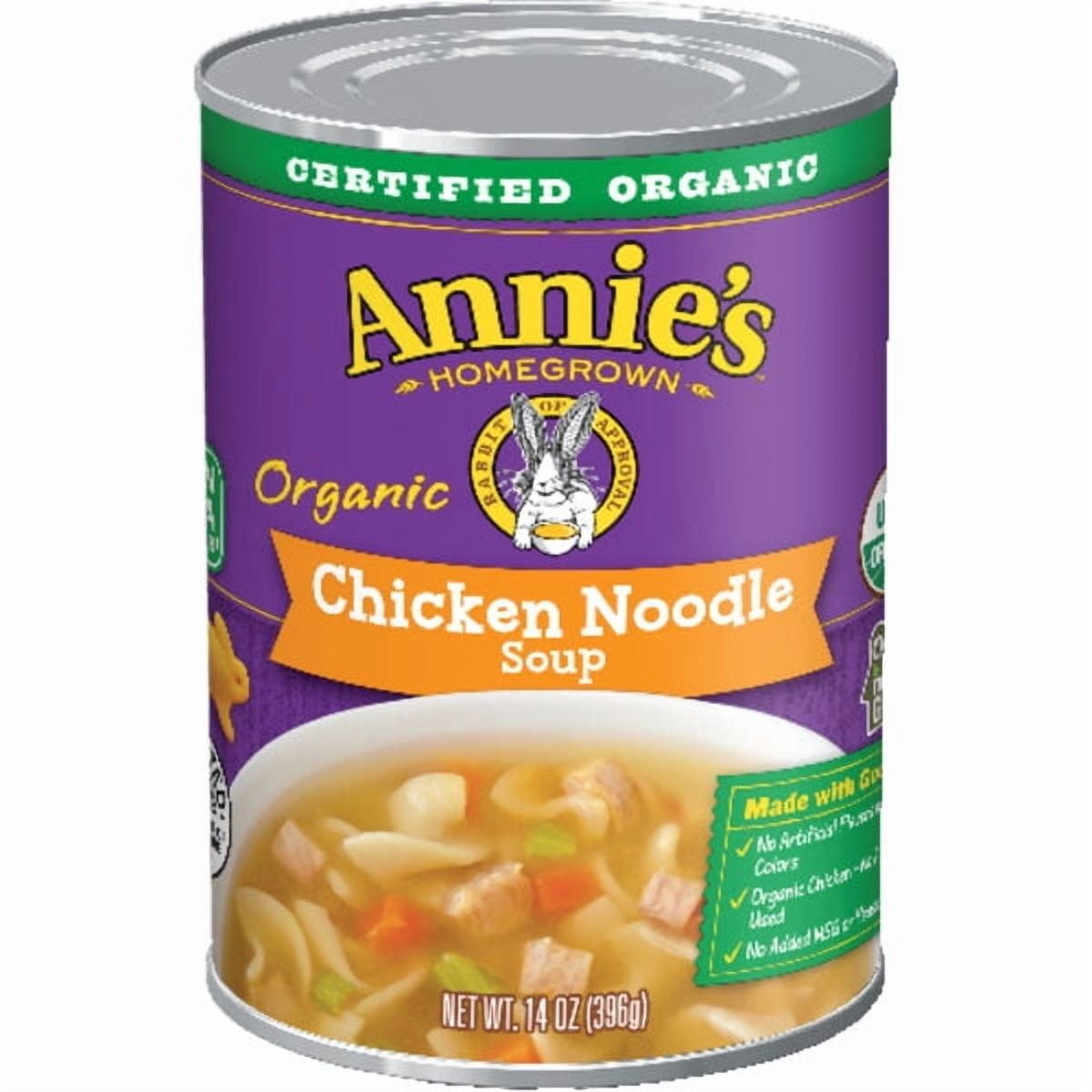 2X - Annie's Homegrown Organic Chicken Noodle Soup 14 oz Package May Vary