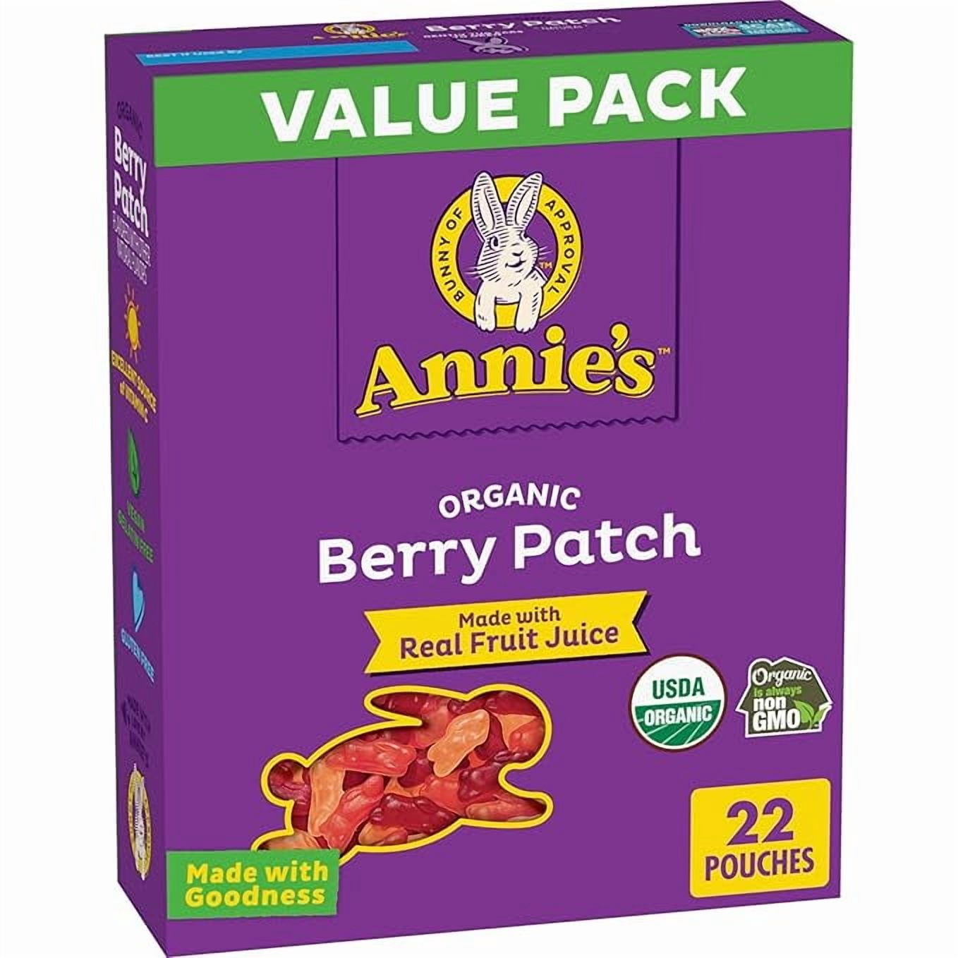 Annie's Organic Berry Patch Bunny Fruit Flavored Snacks, Gluten Free, Value Pack, 22 Pouches, 15.4 oz Pack of 1