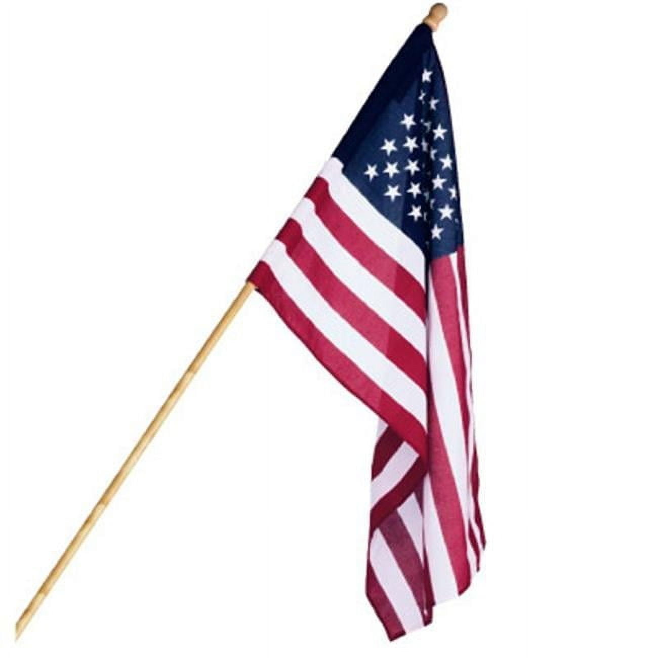 2.5 x 4-ft Patriotic Multicolor Polycotton Banner Set with Wood Pole