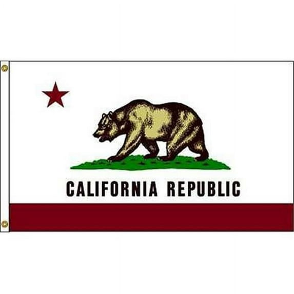Annin Flagmakers 140470 4 ft. X 6 ft. Nyl-Glo California Flag