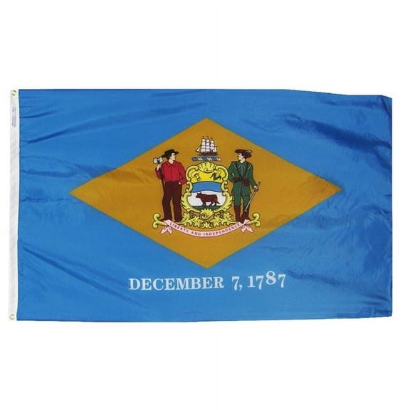 Annin Flagmakers 140860 3 ft. x 5 ft. Nyl-Glo Delaware Flag