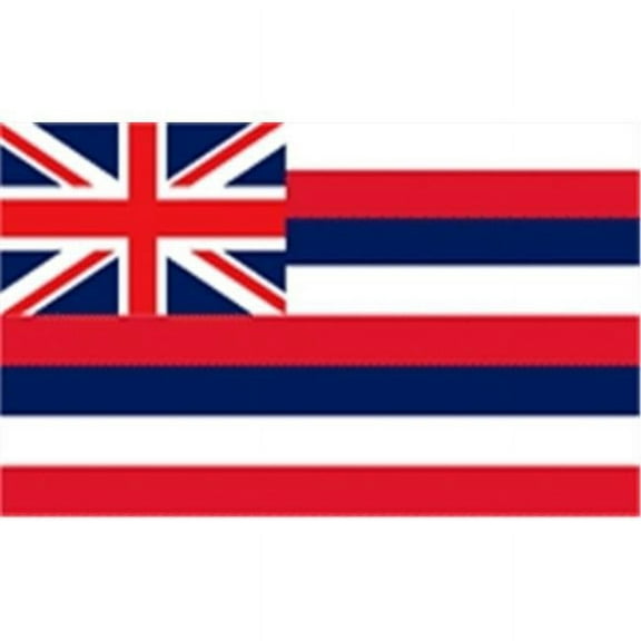 Annin Flagmakers 141250 2 ft. X 3 ft. Nyl-Glo Hawaii Flag