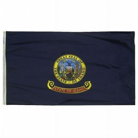 Annin Flagmakers 141360 3 ft. x 5 ft. Nyl-Glo Idaho Flag