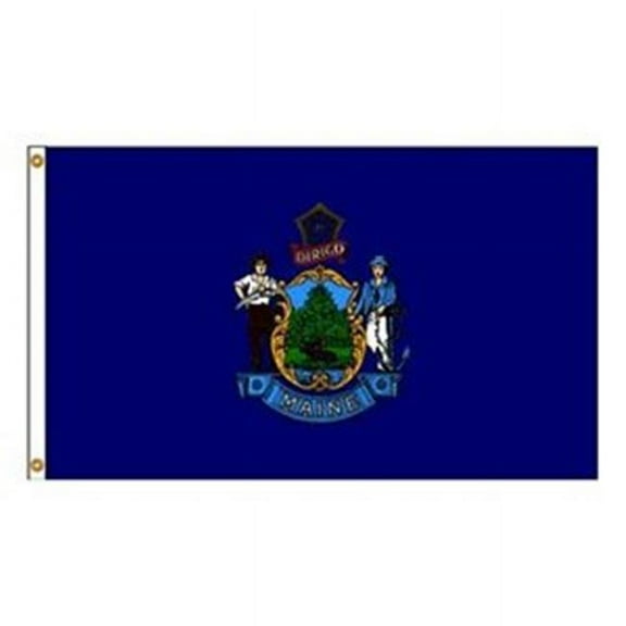 Annin Flagmakers 142248WE 12 in. X 18 in. Nyl-Glo Maine Flag