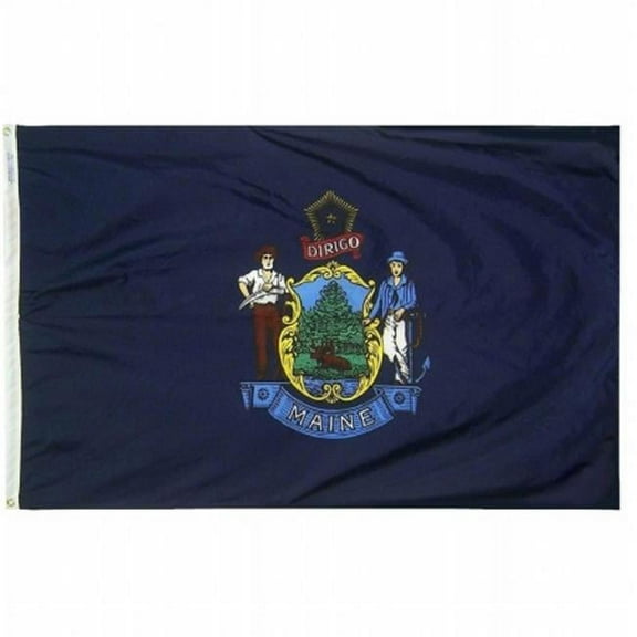 Annin Flagmakers 142260 3 ft. x 5 ft. Nyl-Glo Maine Flag