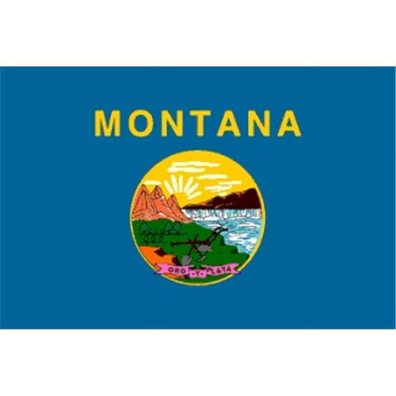 Annin Flagmakers 143180 5 ft. X 8 ft. Nyl-Glo Montana Flag