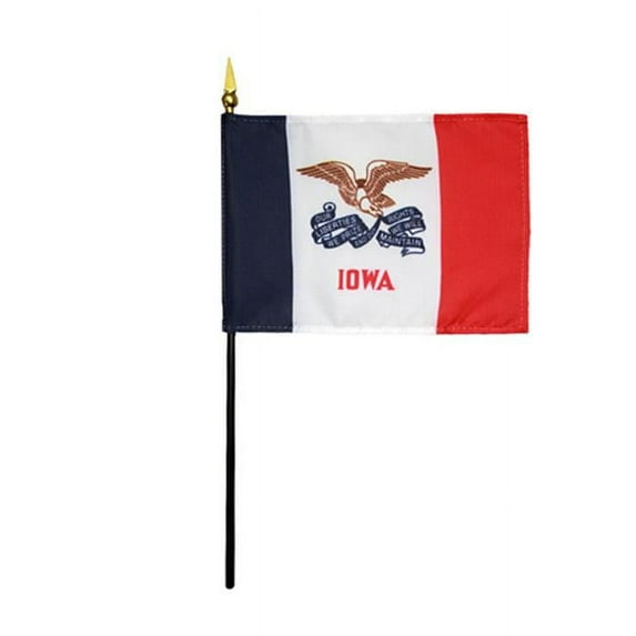 Annin Flagmakers 150014 4 x 6 in. Eb Iowa Mounted, Pack Of 12
