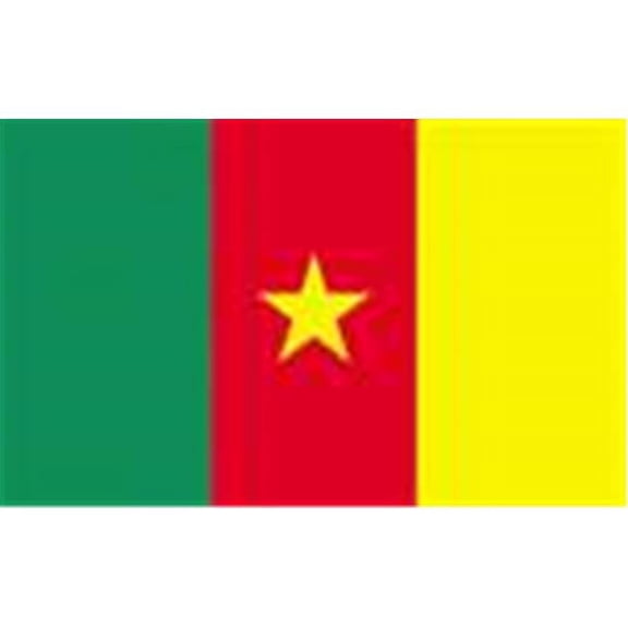 Annin Flagmakers 191263 2 ft. X 3 ft. Nyl-Glo Cameroon Flag
