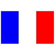 Annin Flagmakers 192685 3 ft. x 5 ft. Nyl-Glo France Flag