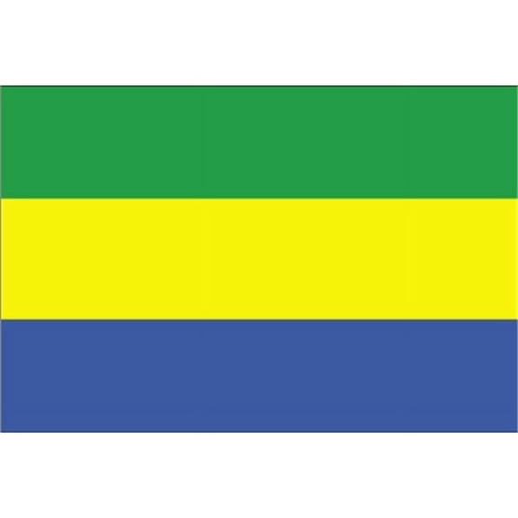 Annin Flagmakers 192756 3 ft. x 5 ft. Nyl-Glo Gabon Flag