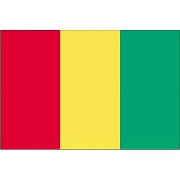 Annin Flagmakers 193233 3 ft. x 5 ft. Nyl-Glo Guinea Flag