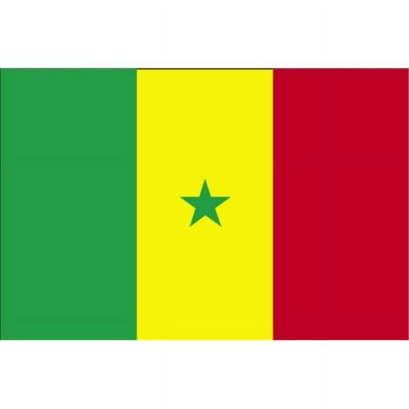 Annin Flagmakers 197251 3 ft. x 5 ft. Nyl-Glo Senegal Flag
