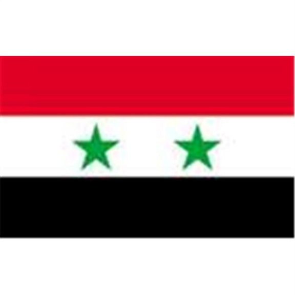 Annin Flagmakers 198227 2 ft. X 3 ft. Nyl-Glo Syria Flag