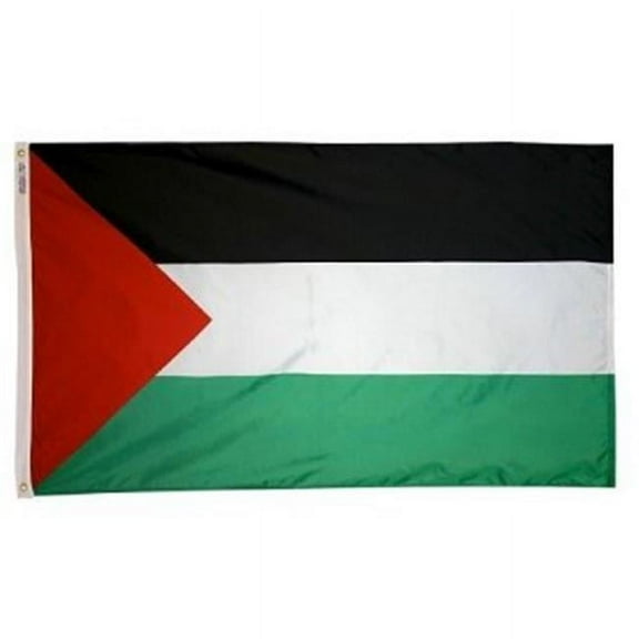 Annin Flagmakers 221540 2 ft. X 3 ft. Nyl-Glo Palestine Flag