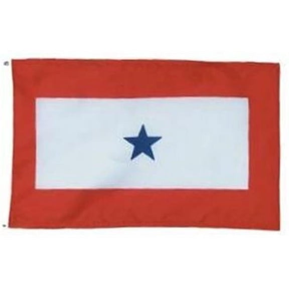 Annin Flagmakers 440402 Service Star Flag -Nyl-Glo-3 ft. X 5 ft.