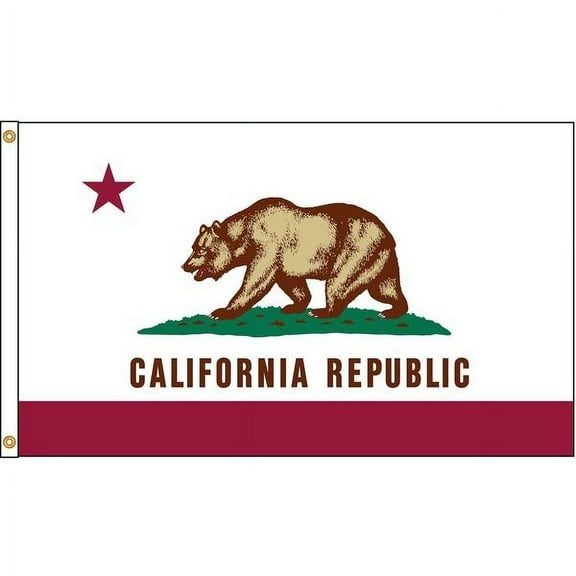 Annin Flagmakers California Flag,4x6 Ft,Nylon 140470