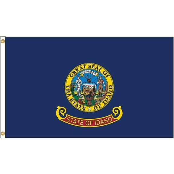 Annin Flagmakers Idaho Flag,4x6 Ft,Nylon 141370