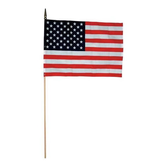 Annin Flagmakers US Hand Held Flag Set,8in.Hx12in.W,PK12 3874