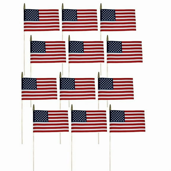 Annin and Company Verona Brand . Miniature Flag, 8 Inch x 12 Inch, 12 Count