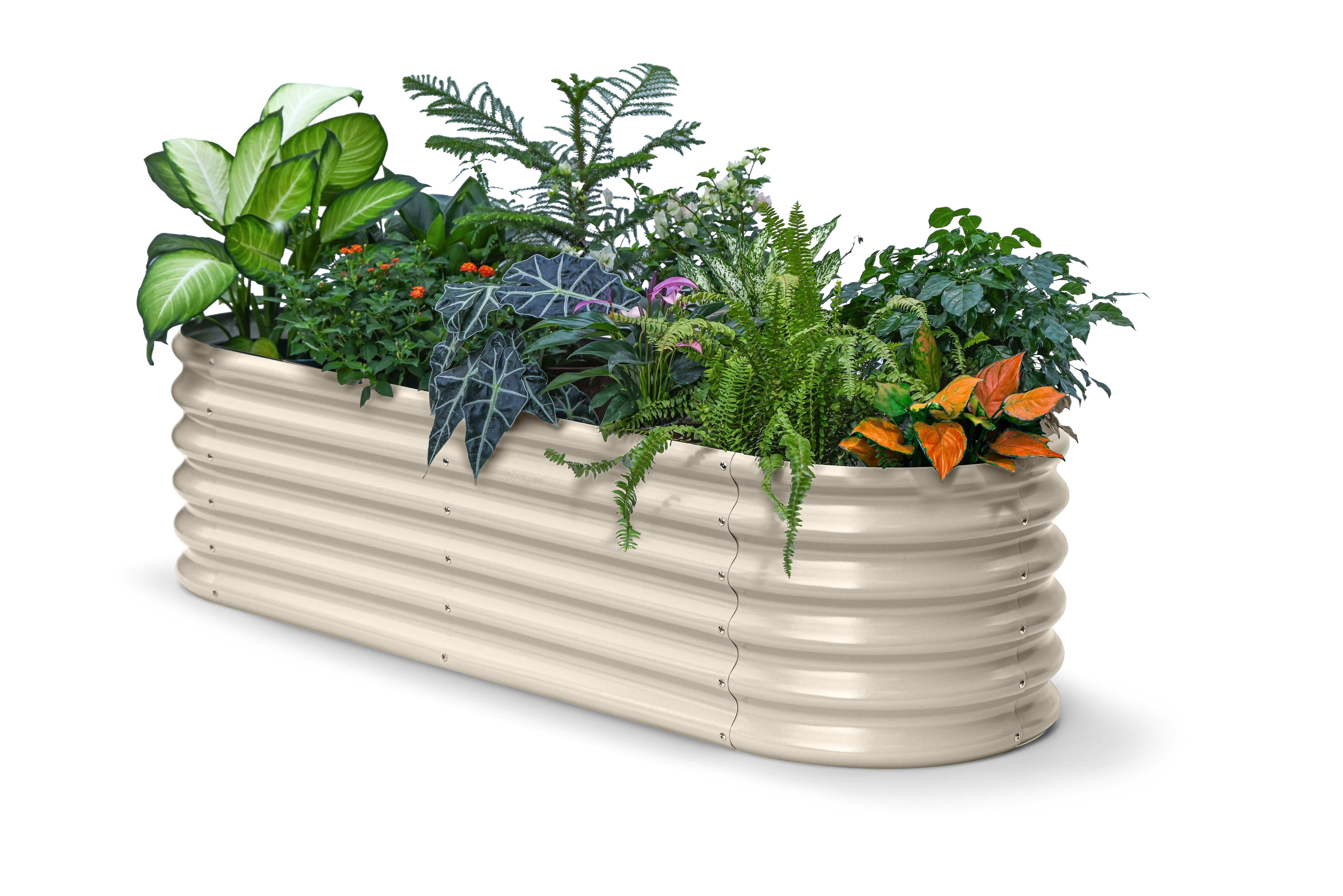 Annoell 6x2x1.5 ft Galvanized Raised Garden Bed, 18" Tall Metal Raised Planters for Outdoor Plants, Flower Bed for Small Space Gardening - Sand Beige
